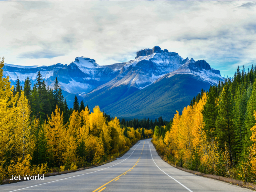 Add a little bit of body text (51)